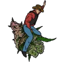 OMP_CannabisCowboyWeedRide