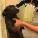 BV HOLDING YOU AT GUN POINT