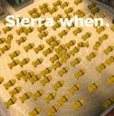 Sierra when