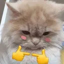 you're so cute