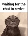 revivechat
