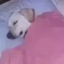 sticker_1729355784281