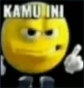 Kamu ini 