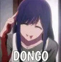 Dongo
