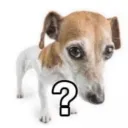 what | .gg/xerophobic