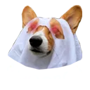 boorgi