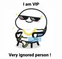 vip!!!
