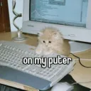 PuterCat