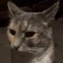 PRXcatstare | .gg/prixony