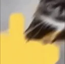 Catfu