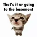 BASEMENT TIME /depression