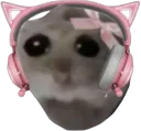 gamer girl cat