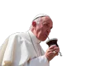 PopeFrancisMate