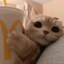Catmcds