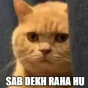 dekh raha hu_ Join .gg/catcafe