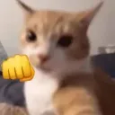 Punch _ Join .gg/catcafe