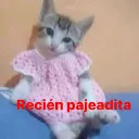 recien pajeadita