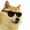 doge_cool