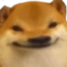 doge_flat