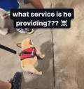 service