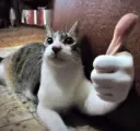 thumbs up  .gg/pfpz