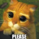 Please_ Join .gg/catcafe