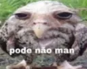 Pode não man