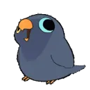 Blue birb