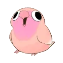 Pink birb