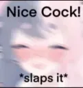 Nice Cock