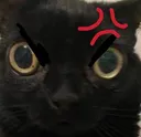 angry