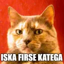 Katega_ Join .gg/catcafe