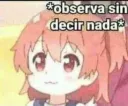 observa sin decir nada