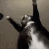 jigglin
