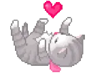 kitty cat