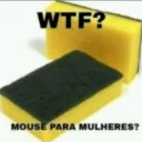 Mouse de mulher
