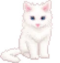 kitty cat