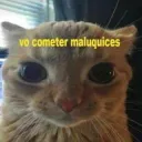 Vou Cometer