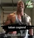 taban cogiend