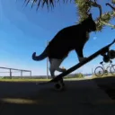 sick kickflip gg/rxku