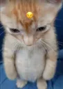 sad