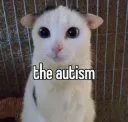 The autism