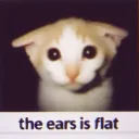 ear 