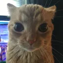 1000 billion years stare