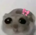 hamster - .gg/hinge