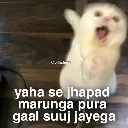 sticker_1732775473087