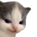 hehe