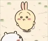 usagi dance usagi dance