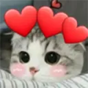 Cat hearts