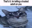 Im telling a trusted adult >:(